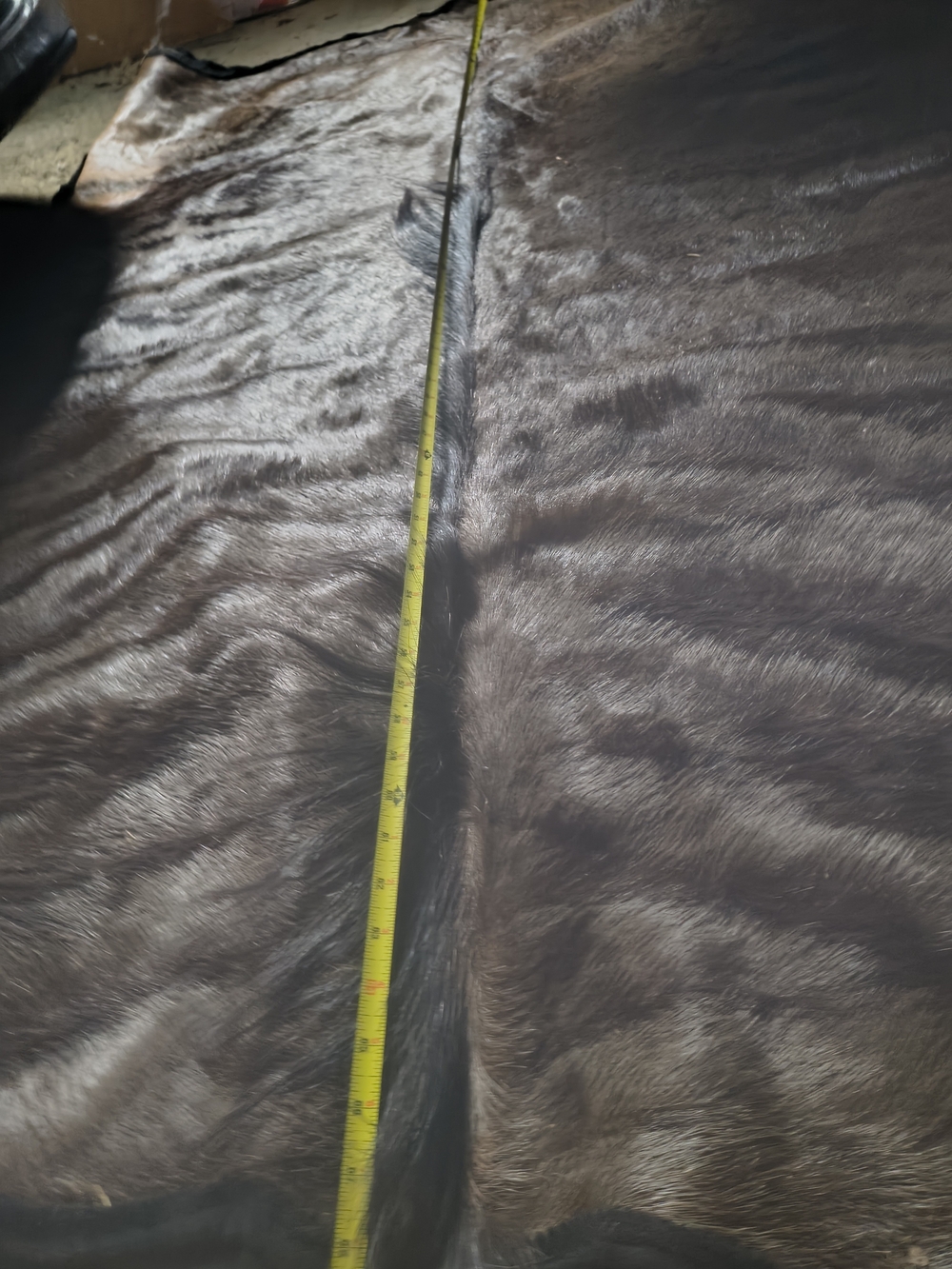 Wildbeeste Rug. - Picture 2 of 6